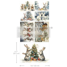Load image into Gallery viewer, Bunny Wonderland