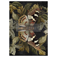 Load image into Gallery viewer, Butterfly Conservatory Tales