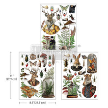 Load image into Gallery viewer, Ephemera Enclave