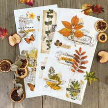 Load image into Gallery viewer, Foliage Collector