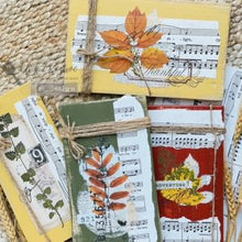 Load image into Gallery viewer, Foliage Collector