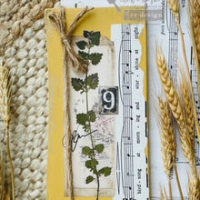 Load image into Gallery viewer, Foliage Collector