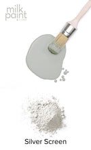 Load image into Gallery viewer, Silver Screen