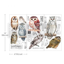 Load image into Gallery viewer, Owl