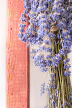 Load image into Gallery viewer, Pacific Redwood