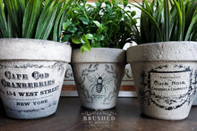 Load image into Gallery viewer, Classic Vintage Labels