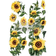 Load image into Gallery viewer, Sunflower
