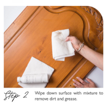 Load image into Gallery viewer, TSP Alternative Degreaser