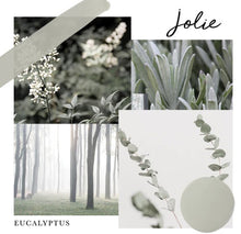 Load image into Gallery viewer, Eucalyptus
