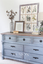 Load image into Gallery viewer, Champness