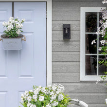 Load image into Gallery viewer, Mist