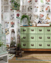 Load image into Gallery viewer, Conservatory