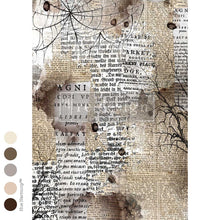 Load image into Gallery viewer, Mystical Creations
