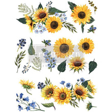 Load image into Gallery viewer, Sunflower Fields
