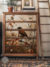 Load image into Gallery viewer, Sunlit Songbird
