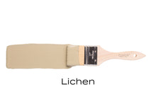 Load image into Gallery viewer, Lichen
